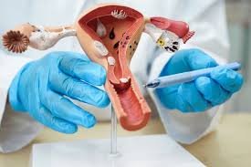 gynaecology-and-trauma